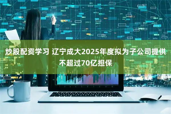 炒股配资学习 辽宁成大2025年度拟为子公司提供不超过70亿担保