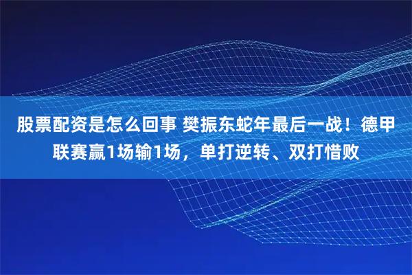 股票配资是怎么回事 樊振东蛇年最后一战！德甲联赛赢1场输1场，单打逆转、双打惜败
